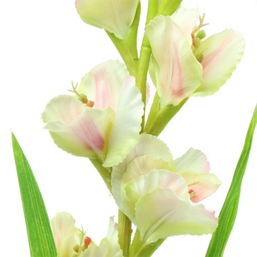 Floristik24 Mečík bílý 93cm