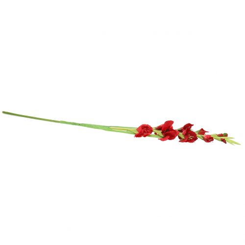 Floristik24 Mečík červený 93 cm