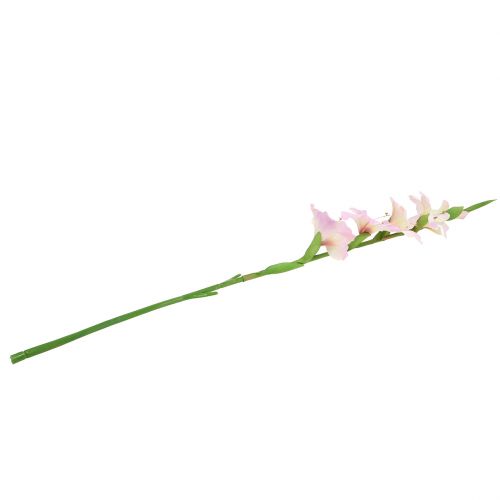 Floristik24 Mečík krémově fialový 86cm