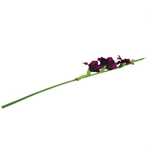 Floristik24 Mečík tmavě fialový 86cm