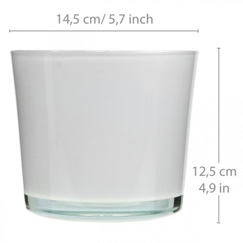 Floristik24 Skleněný květináč bílý květináč skleněná vana Ø14,5cm V12,5cm