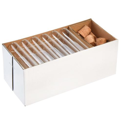 Floristik24 Mini vázičky skleněné dekorační skleněné trubice se zátkami H11,5cm 24 ks
