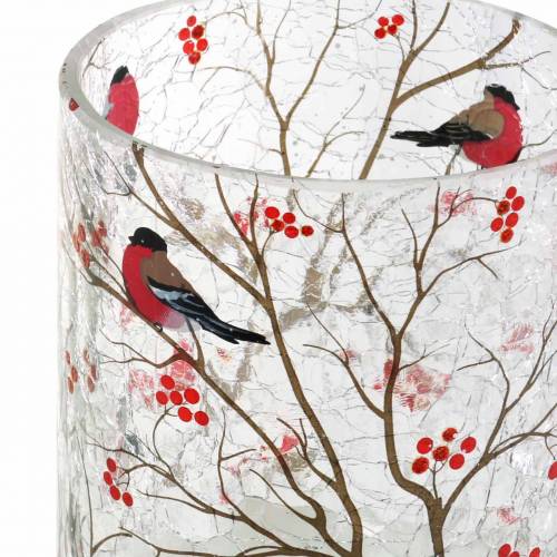 Floristik24 Lucerna Bullfinch Crackle Clear Ø9cm H10cm