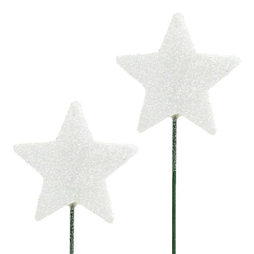 Floristik24 Třpytivá hvězda na drátu 5cm bílá L23cm 48ks