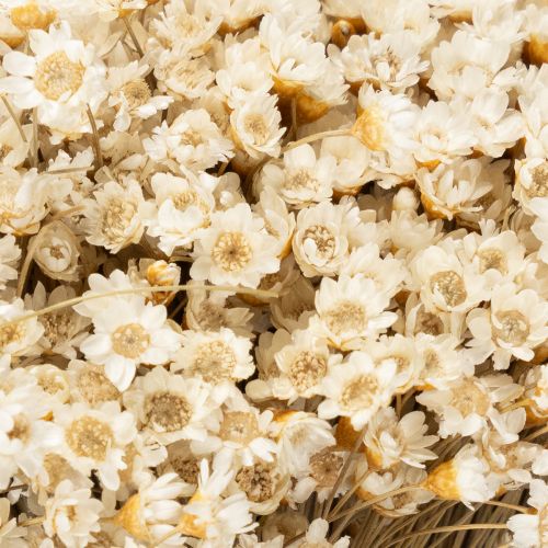 položky Kytice sušených květin, jemné květy pro přírodní dekoraci domova, 44 cm