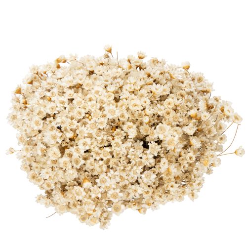 položky Kytice sušených květin, jemné květy pro přírodní dekoraci domova, 44 cm