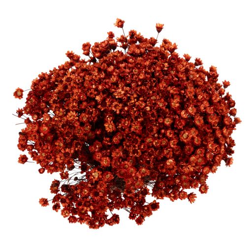 položky Kytice sušených květin, okouzlující doplněk do váz nebo aranžmá, 44 cm