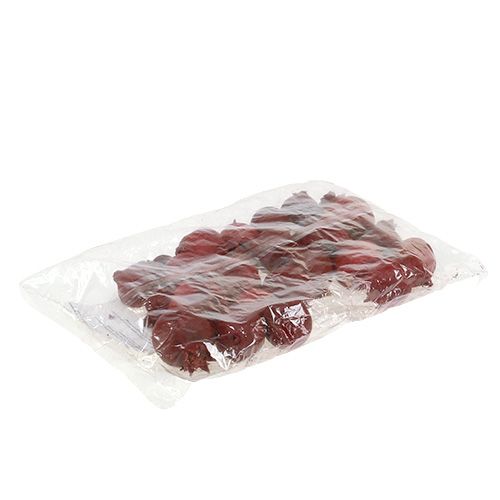 Floristik24 Granátová jablka 250 g