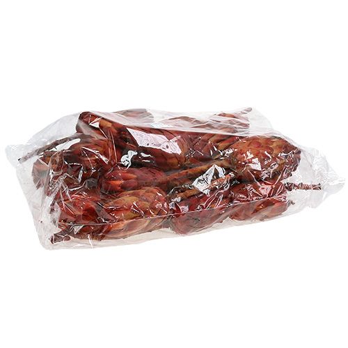 položky Grandiceps červený 25 ks
