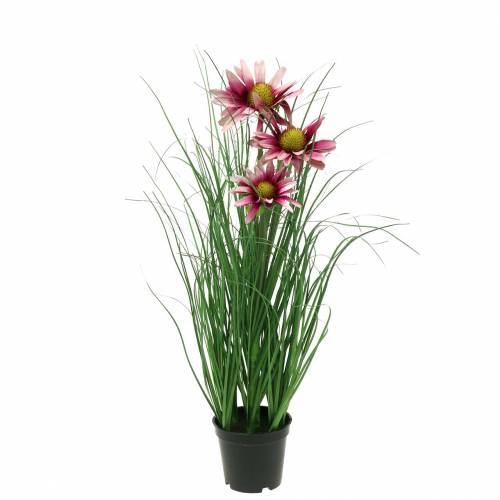 Floristik24 Umělá tráva s echinaceou v růžovém květináči 44 cm