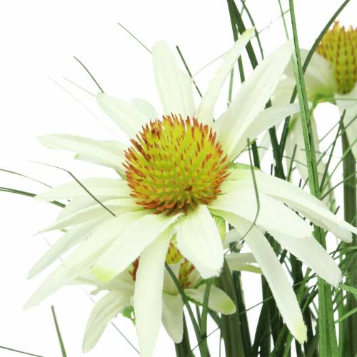 položky Umělá tráva s Echinaceou v bílém květináči 52cm