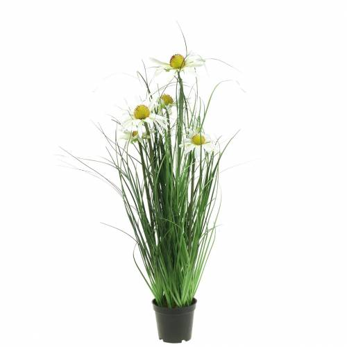 Floristik24 Umělá tráva s Echinaceou v bílém květináči 52cm
