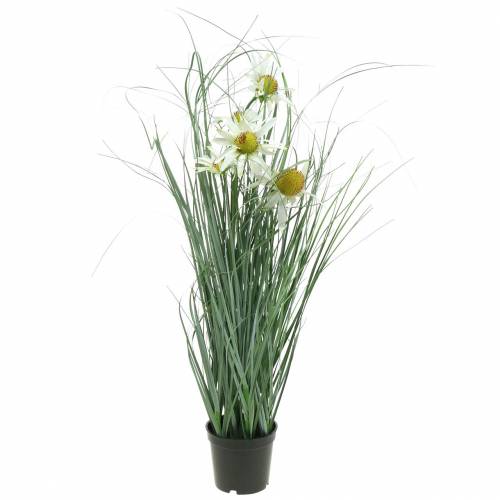 Floristik24 Umělá tráva s Echinaceou v bílém květináči 56cm