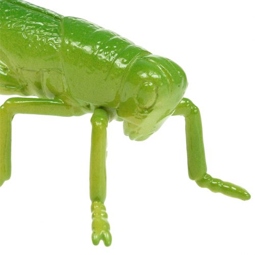 Kobylka zelená 11cm 1ks