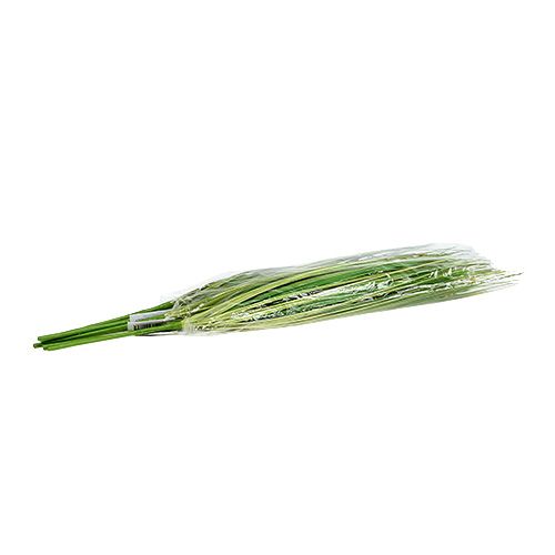 Floristik24 Větev trávy s květy 58cm zelená 6ks