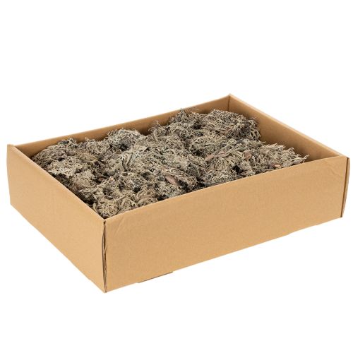 Dekorativní mech, šedý mech na tvoření, 500g | Floristik24.cz