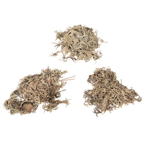 Dekorativní mech, šedý mech na tvoření, 500g | Floristik24.cz