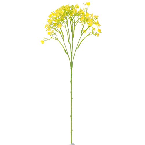 položky Gypsophila paniculate sádrovec bylina žluté květy L46cm 4 ks