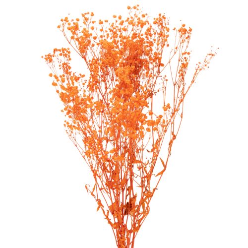 Kytice sušených květin Gypsophila s dětským dechem 75 cm 100 g