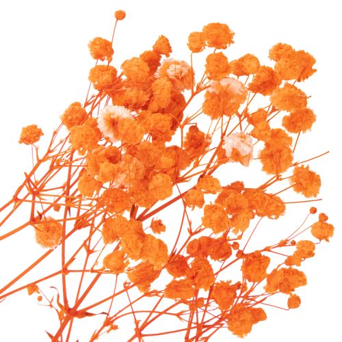 Kytice sušených květin Gypsophila s dětským dechem 75 cm 100 g | Floristik24.cz