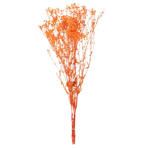 Kytice sušených květin Gypsophila s dětským dechem 75 cm 100 g | Floristik24.cz
