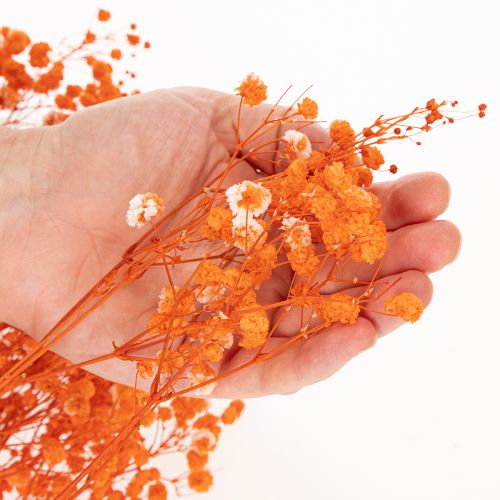 Kytice sušených květin Gypsophila s dětským dechem 75 cm 100 g | Floristik24.cz