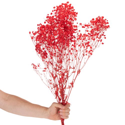 Sušený svazek gypsofily (dětské dychové větvičky) 75 cm 100 g | Floristik24.cz