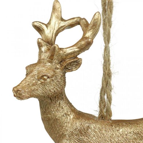 Floristik24 Vánoční přívěsek sob deko jelen zlatý 9,5cm 4ks