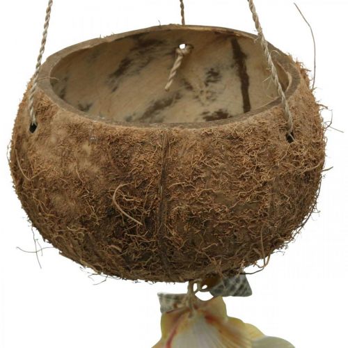 Floristik24 Kokosová miska se skořápkami, přírodní miska na rostliny, kokos jako závěsný košík Ø13,5/11,5cm, sada 2 ks