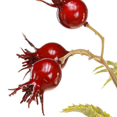 Floristik24 Umělé dekorativní větvičky šípků se 7 plody tmavě červené 48 cm