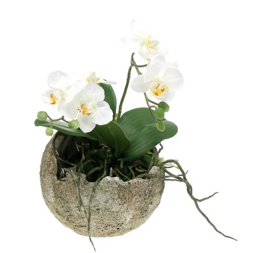 Floristik24 Betonová koule na výsadbu Ø15cm V13,5cm