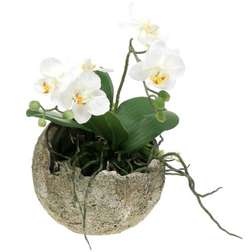 Floristik24 Betonová koule na výsadbu Ø17cm V17,5cm