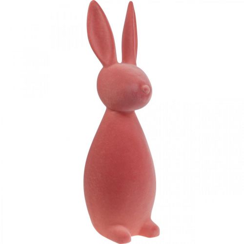 Floristik24 Deco Bunny Deco velikonoční zajíček flocked Orange Meruňka V69cm