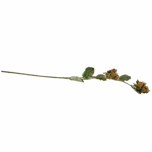 Floristik24 Oříšková větev zelená / hnědá 84cm