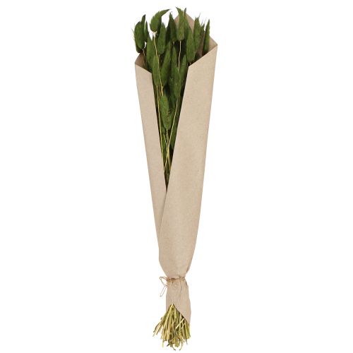 položky Králičí ocásek tráva Lagurus sušená zelená 50-60cm 50g