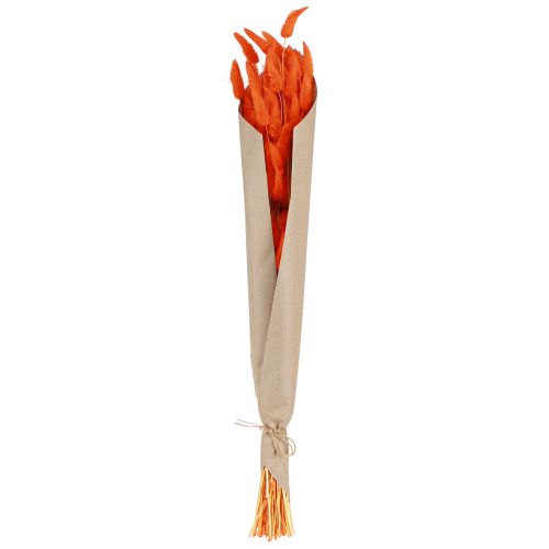 položky Králičí ocásek tráva Lagurus sušený pomeranč 50-60cm 50g