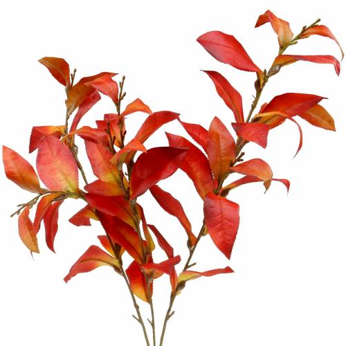 Floristik24 Podzimní větev 72cm