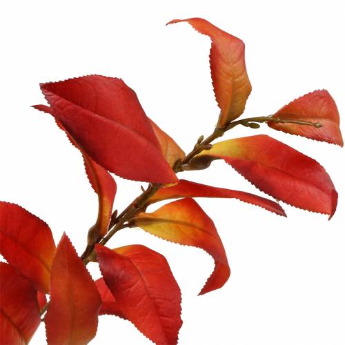 Floristik24 Podzimní větev 72cm