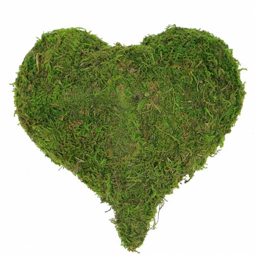 Floristik24 Mechové srdce zelené 20cm 3ks