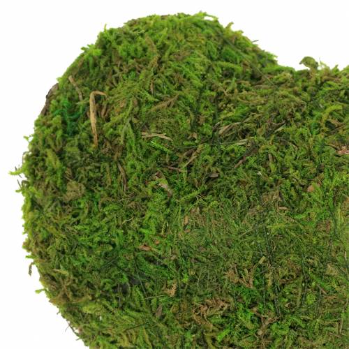 Floristik24 Mechové srdce zelené 20cm 3ks