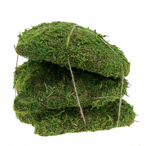 Floristik24 Mechové srdce zelené 20cm 3ks