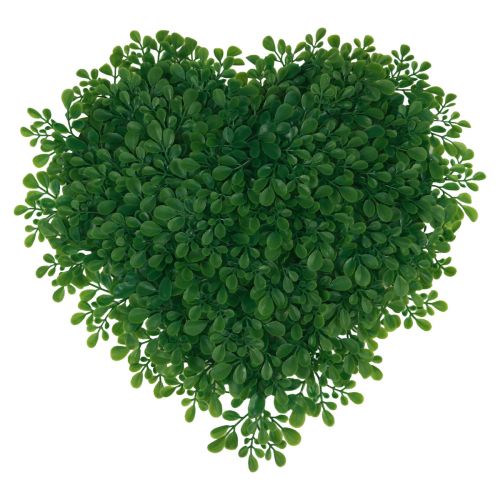 Floristik24 Dekorativní buxus srdce umělá dekorativní podložka zelená 30,5cm