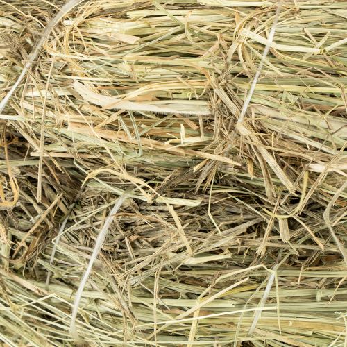 položky Věnce ze sena 31-32cm 5 ks