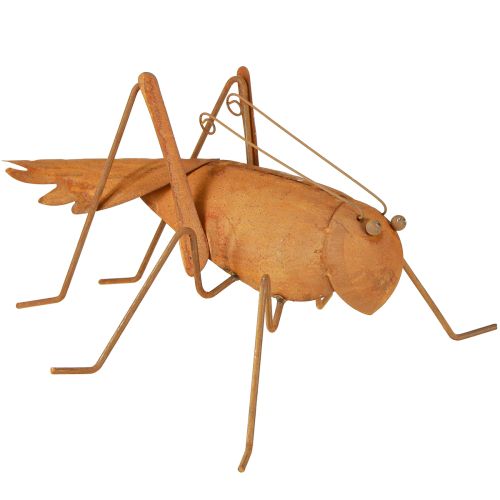 Floristik24 Zahradní dekorace Kobylka Rez Kovová dekorace na stání 26cm