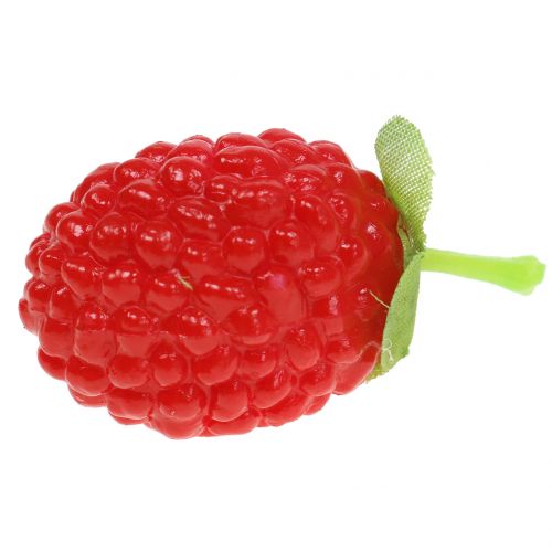 Floristik24 Malina 4cm x 2cm 36p