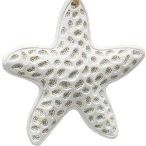 Floristik24 Deco věšák hvězdice, mořský koník 12cm 3ks