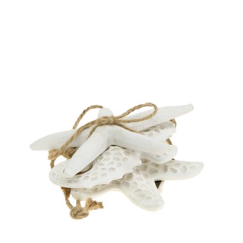 Floristik24 Deco věšák hvězdice, mořský koník 12cm 3ks