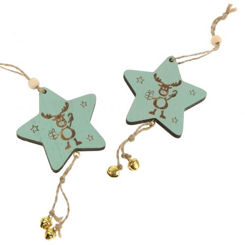 Floristik24 Věšák Star Mint 7cm L20cm 12 ks