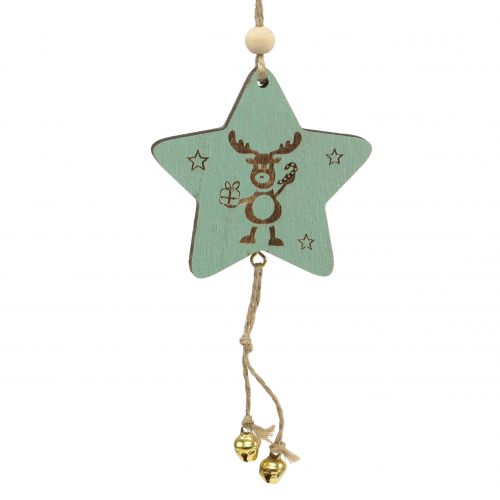Floristik24 Věšák Star Mint 7cm L20cm 12 ks