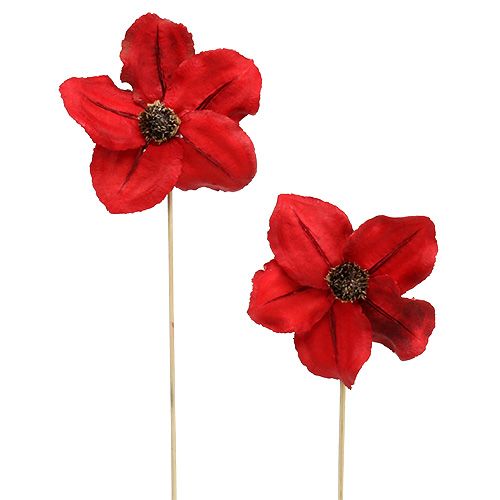 položky Dřevěná květina jako zátka červená Ø9cm - 12cm L45cm 15 ks